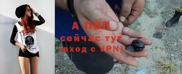 молекула духа Белоозёрский