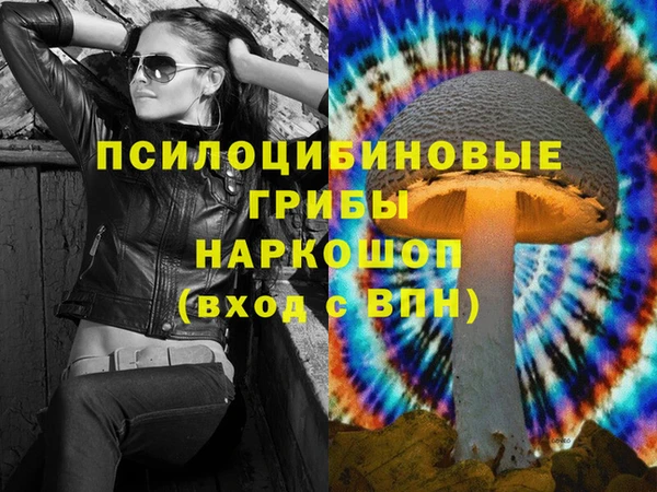 молекула духа Белоозёрский