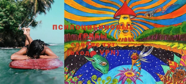 марки lsd Белокуриха