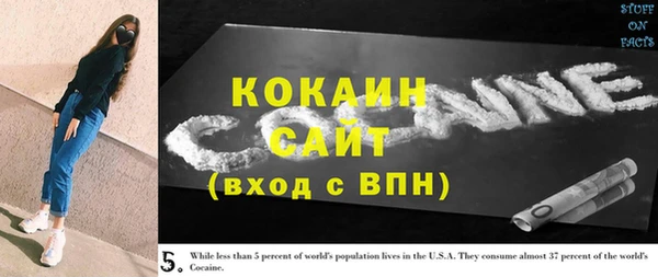 стаф Богородск