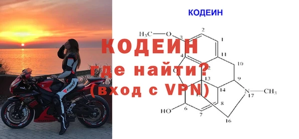 стаф Богородск