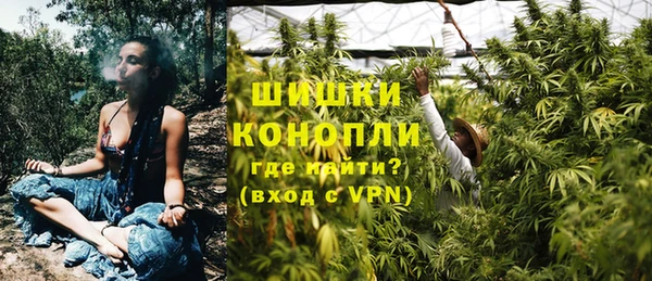 стаф Богородск