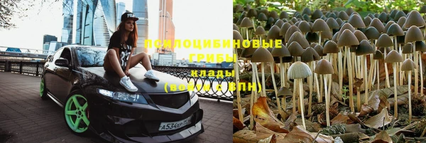 стаф Богородск