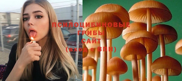 молекула духа Белоозёрский
