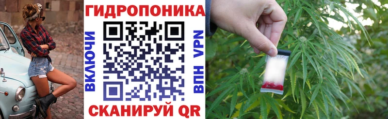 Каннабис индика Белореченск